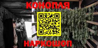 ешки Краснодар