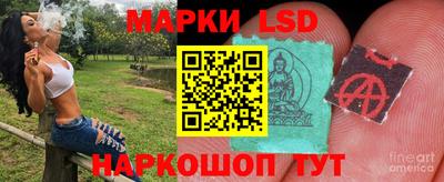 a pvp Краснознаменск