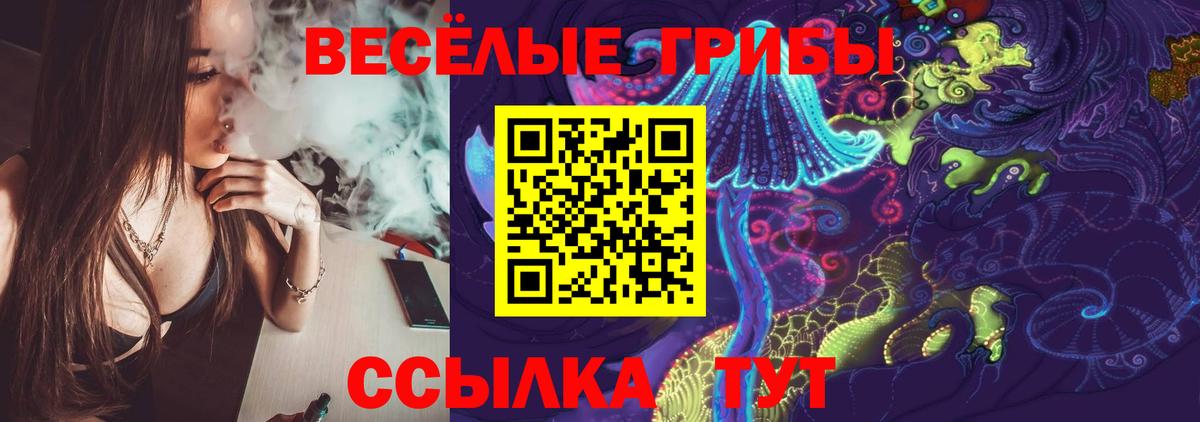 Псилоцибиновые грибы MAGIC MUSHROOMS  Вход с VPN  Бирск 